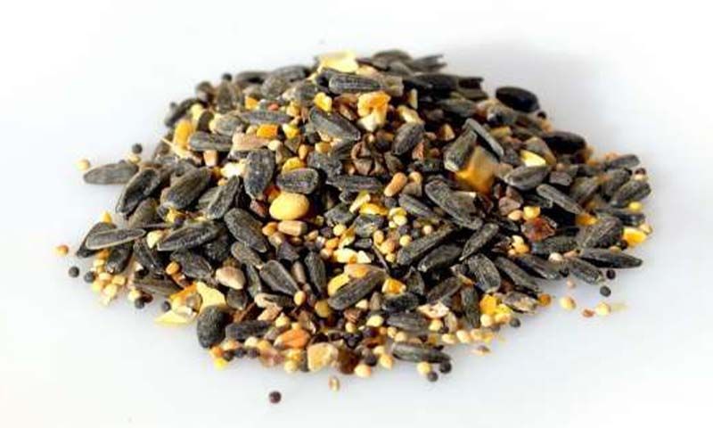 Alimentation pour oiseaux