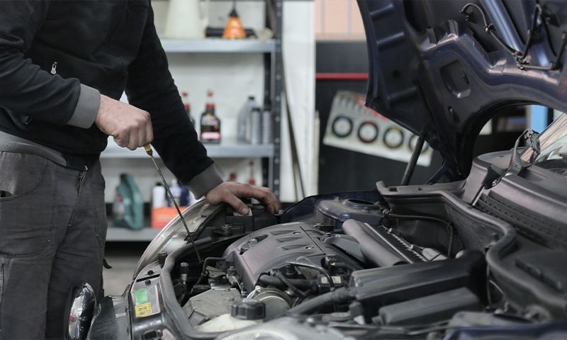 [210413_1911] Divers